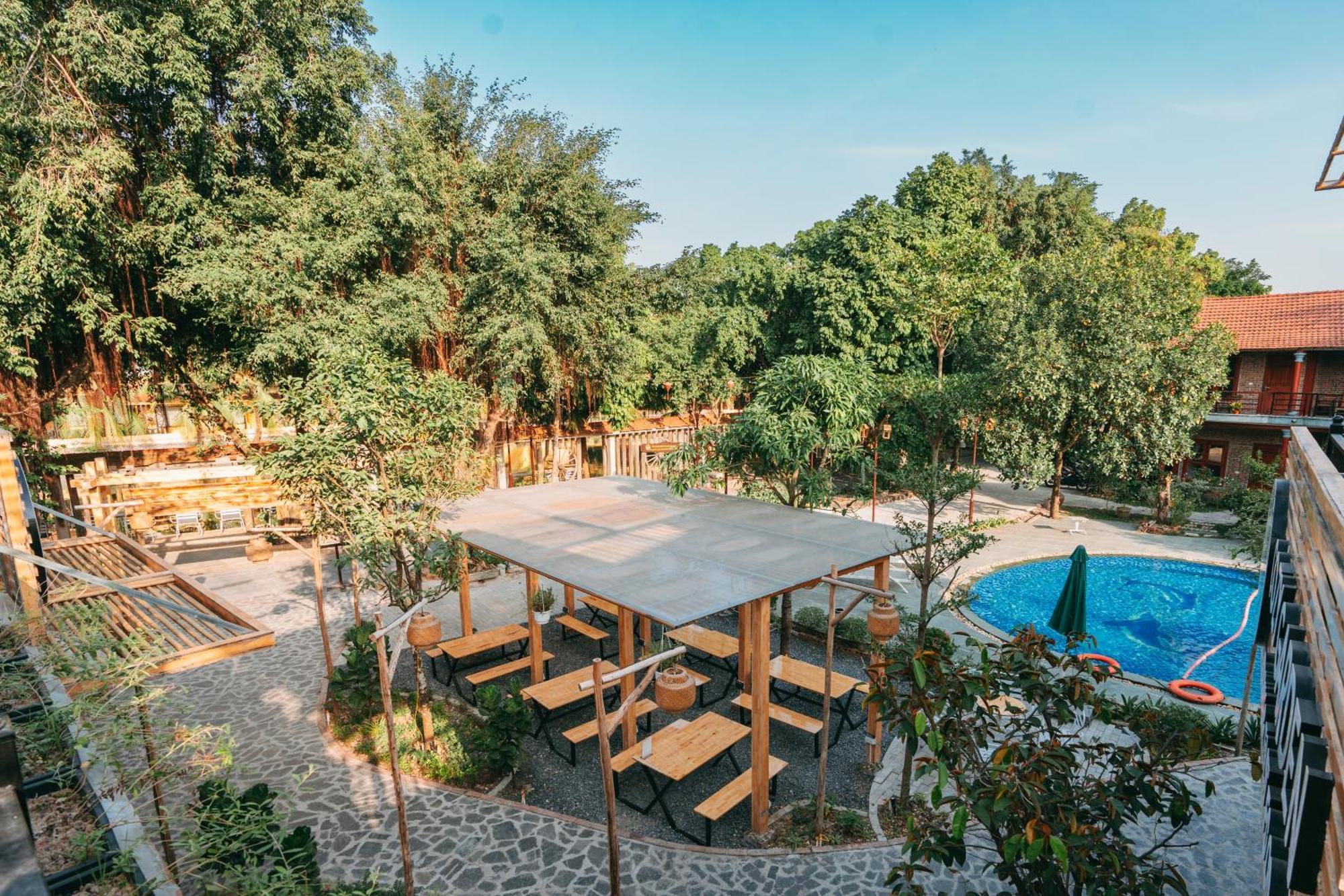 Tam Coc Lavender Homestay Ninh Bình Exteriör bild