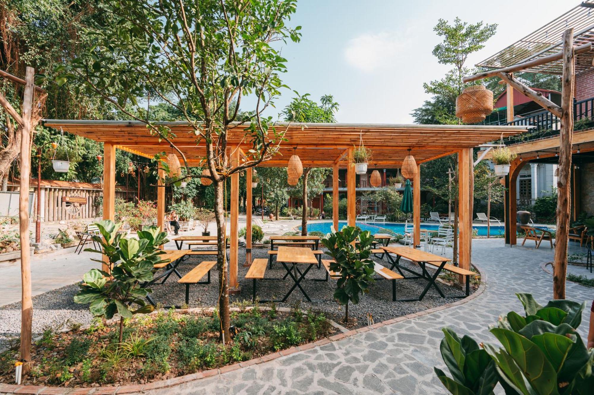 Tam Coc Lavender Homestay Ninh Bình Exteriör bild